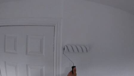 Paint My Walls Empty Your Balls