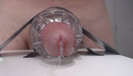 Dick Cums Closeup