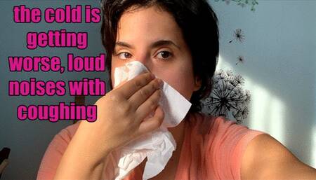 I blow my nose very loudly - this February cold is getting worse and worse