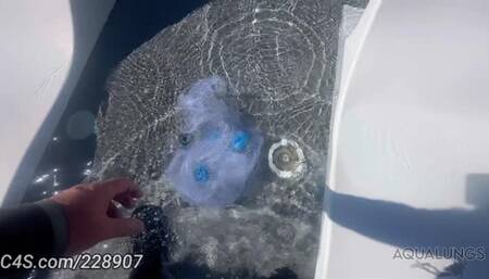 Net Rescue Ruby Rose