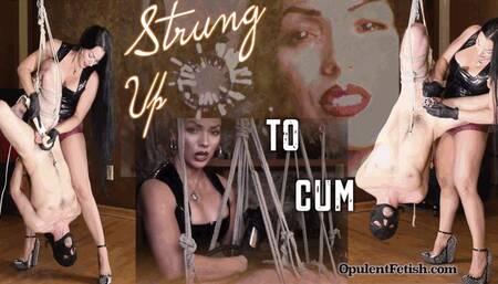 Strung Up to Cum