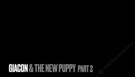 Trampling and feet session