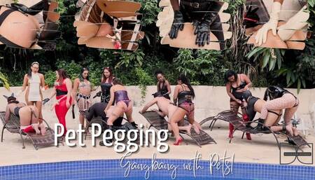 Pet Play GangBang - PT ll