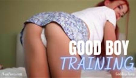 Good Boy Training