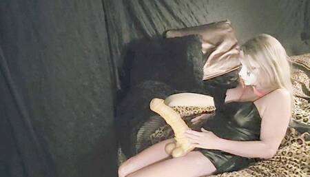 Sonny my golden palomino