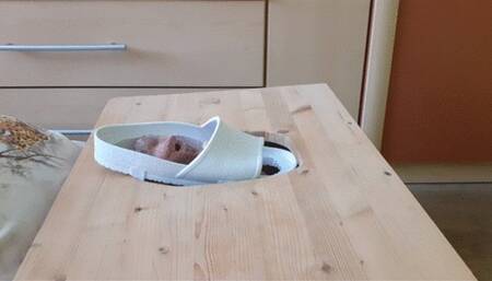 Crushing slave face in slippers without soles 2