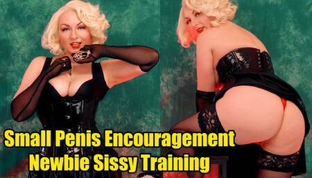 Small Penis Encouragement and Newbie Sissy Training (720p)