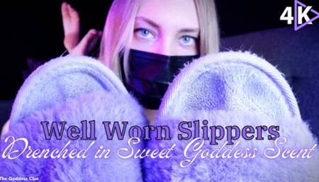 Well Worn Slippers Drenched in Sweet Goddess Scent - 4K - The Goddess Clue, Scent Fetish, Foot Slave Training, Destroyed Shoes and Feet JOI