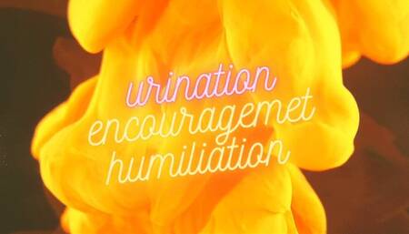 Pee Yourself For My Entertainment - Urination Encouragement - Humiliation - Audio Only