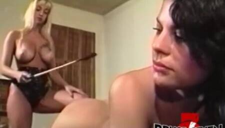 Whipping trailer with bewitching Summer Cummings and Bambi from Bruce Seven Films