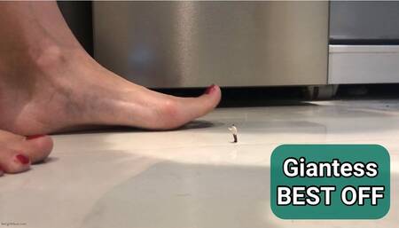 UNAWARE GIANTESS WITH BIG FEET BEST OFF - MP4 MOB discounted price