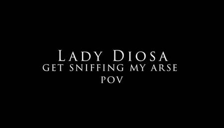 Get sniffing my ass - pov