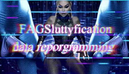GAYSluttyfication data reprogramming WMV