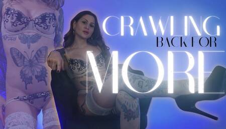 Crawling Back for More