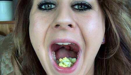 No Mercy For Mouse Family HD-720