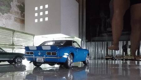 Terri Varity Pack Car Crushing