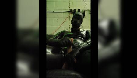 Rubber Pup Jacks off Big Load