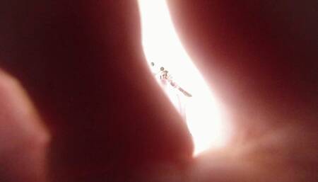 Hanna grinds the burglar 4K VR360