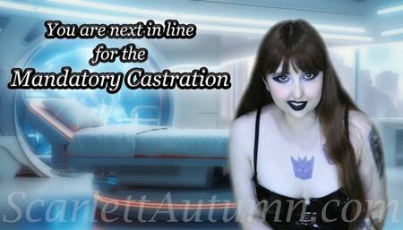 You are next in line for the Mandatory Castration - MP4 SD 480p