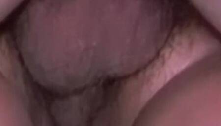 Spicy doxie - close up scene - Ed Powers