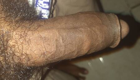 Gifted 20cm