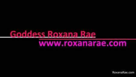 March Tiny Dick Tax 2024