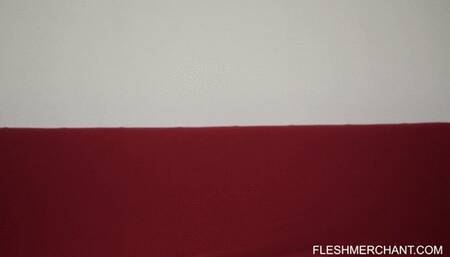 Little White Girl Sucking Big Black Cock