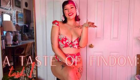 A Taste of Findom: Task 1