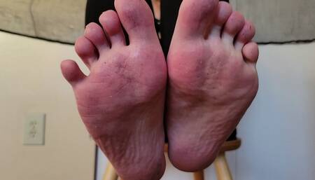 Foot Bitch - Made to Lick and Clean Countess Wednesday's Dirty, Filthy Feet with Your Mouth - Foot Slave, Loser Training, Foot Domination, Foot Humiliation, Subtitles MP4 1080p