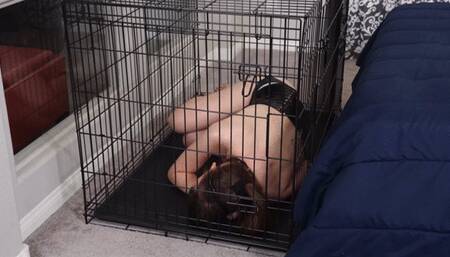 Jamie Kelly and Cherry Maverick - SUB