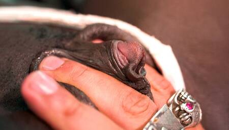 look how i suck her big pulsating clitoris