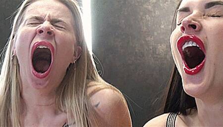 Mega Yawning lesbians (1920x1080 HD) WMV