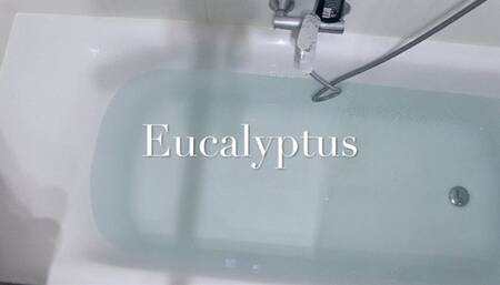 Eucalyptus