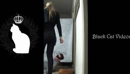 Alice live show january 2024