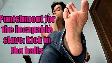 punishment to the incapable slave: lots of kicks in the balls