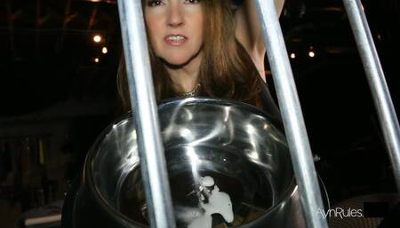 Jerk in My cage - POV