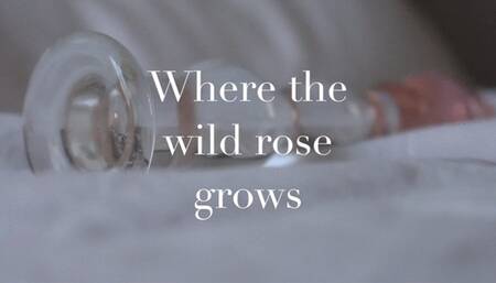 Where the wild rose grows: glass dildo orgasm