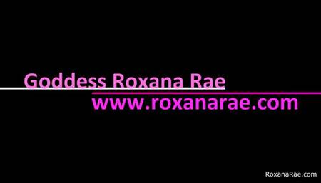 The Cuck Conversation