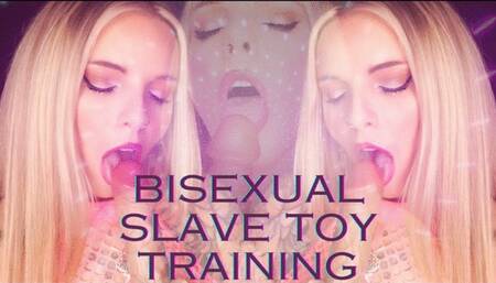 Bisexual Slave Toy Training Mesmerize