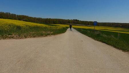On a freeway bridge (2023) (MP4)