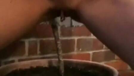 two girls water a plant