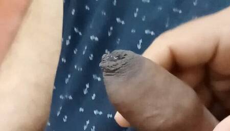 Fresh Dick