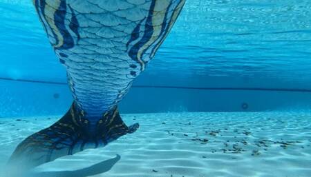 New Mermaid Tail in the Public Pool