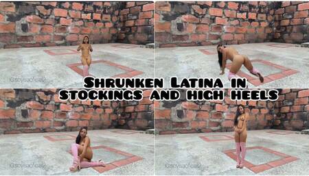 Shrunken Latina seduces you with her stockings and high heels