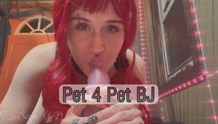 Pet 4 Pet BJ