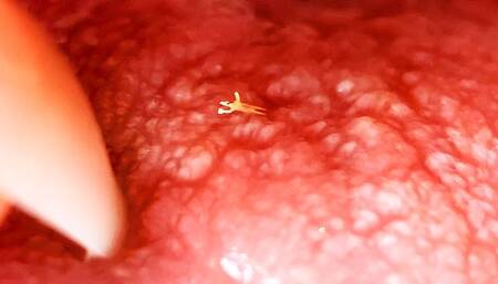 The DATE TEST for My tiny slave