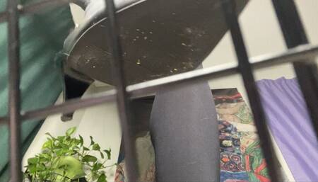 Pt 5 Cage the undesirables POV