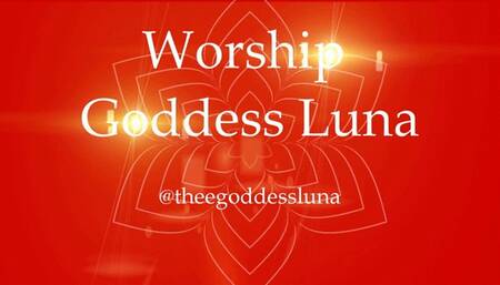 Findom Slave Forever