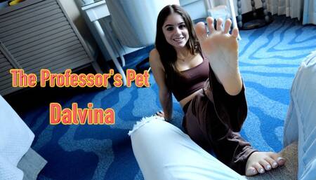 The Professor's Pet - Dalvina HD