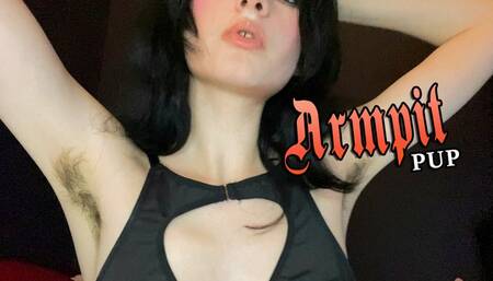 Armpit Pup